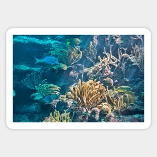 Aquarium. Xcaret Eco Park. Mexico Sticker